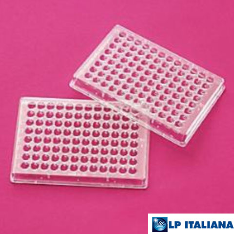 U Plate 96 Kuyulu LP Italiana L120030